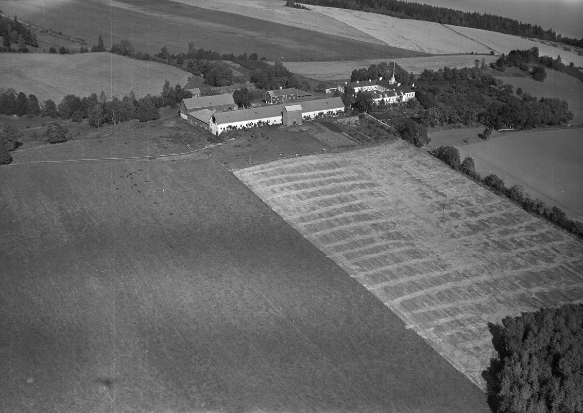 Anno Domkirkeodden, Flyfoto, gardsbruk, Hovinsholm, Helgøya.