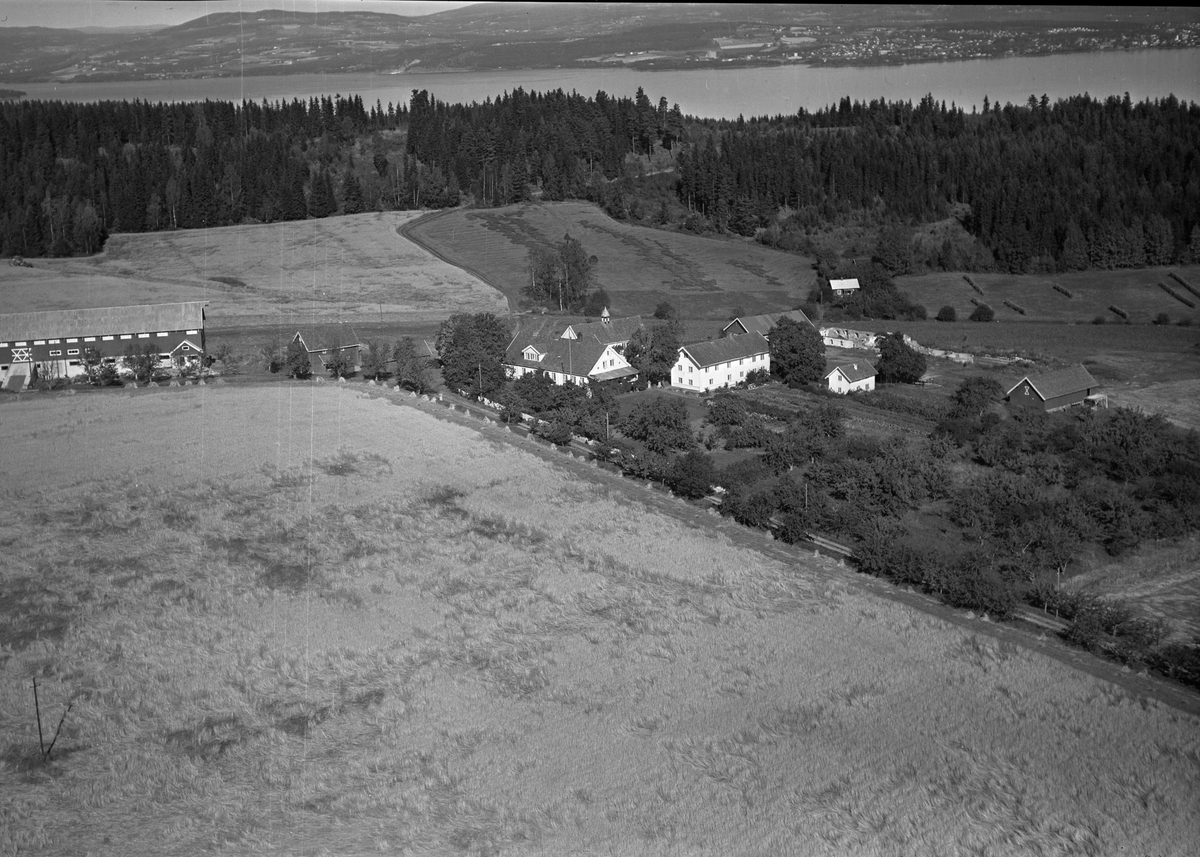 Anno Domkirkeodden, Flyfoto, gardsbruk, Eik, Helgøya.
