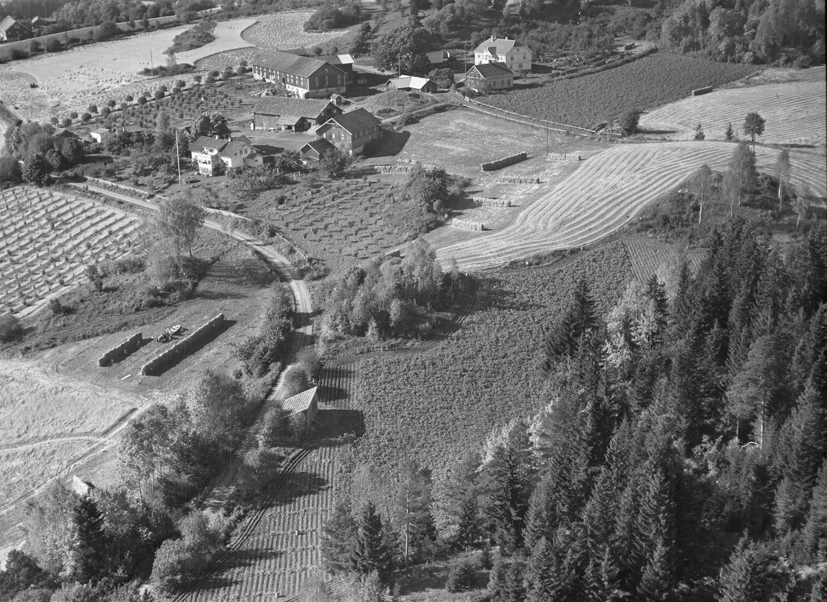 Anno Domkirkeodden, Flyfoto av Hilstad nedre, Nes, Ringsaker.