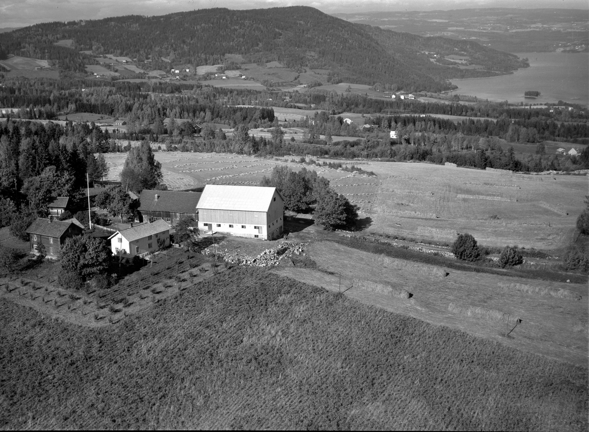 Anno Domkirkeodden, Flyfoto, gardsbruk, Duenger, utsikt mot Bangsberget, Nes, Hedmark.
