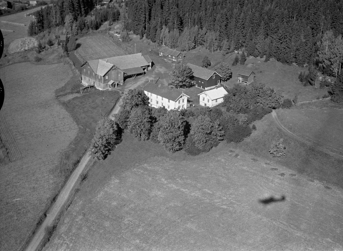 Anno Domkirkeodden, Flyfoto, gardsbruk, Dæhli, Nes, Hedmark.