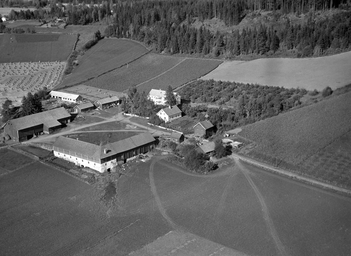 Anno Domkirkeodden, Flyfoto, gardsbruk, Kvam, Nes, Hedmark.