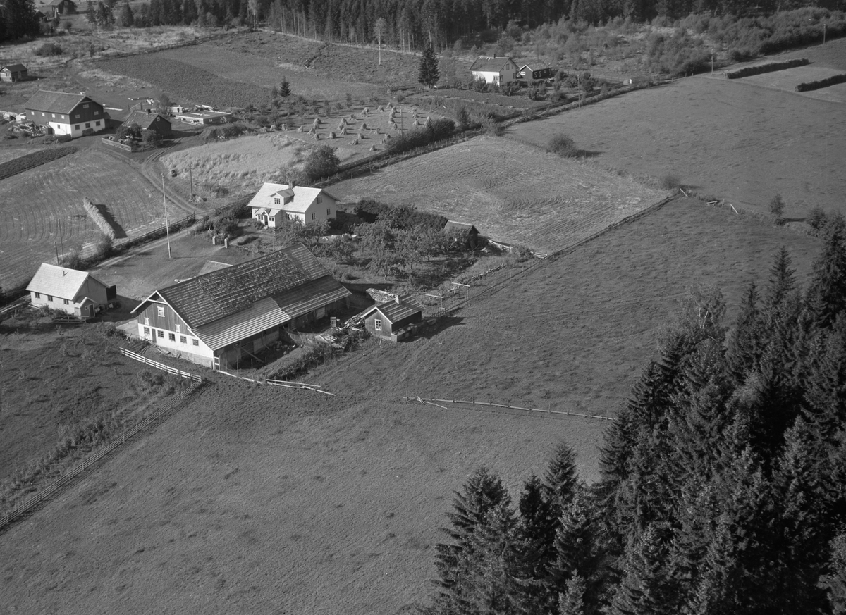 Anno Domkirkeodden, Flyfoto, gardsbruk, Skjelvmoen, Nes, Hedmark.