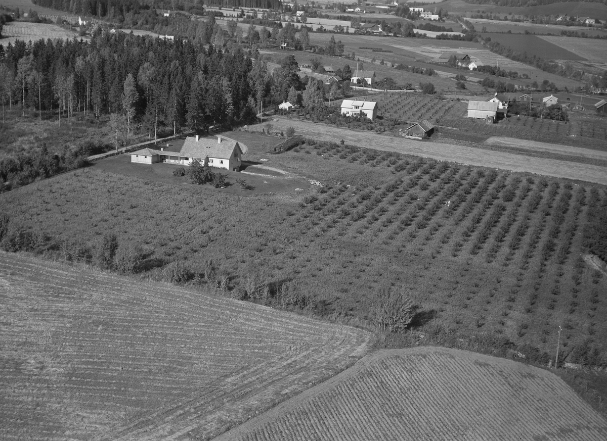 Anno Domkirkeodden, Flyfoto av bebyggelse langs Mølstadvegen, Nes, Hedmark.