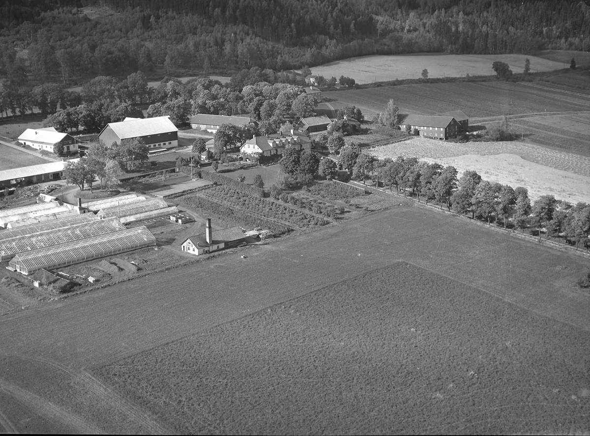 Anno Domkirkeodden, Flyfoto, gardsbruk, gartneri, Grefsheim, Nes, Hedmark.