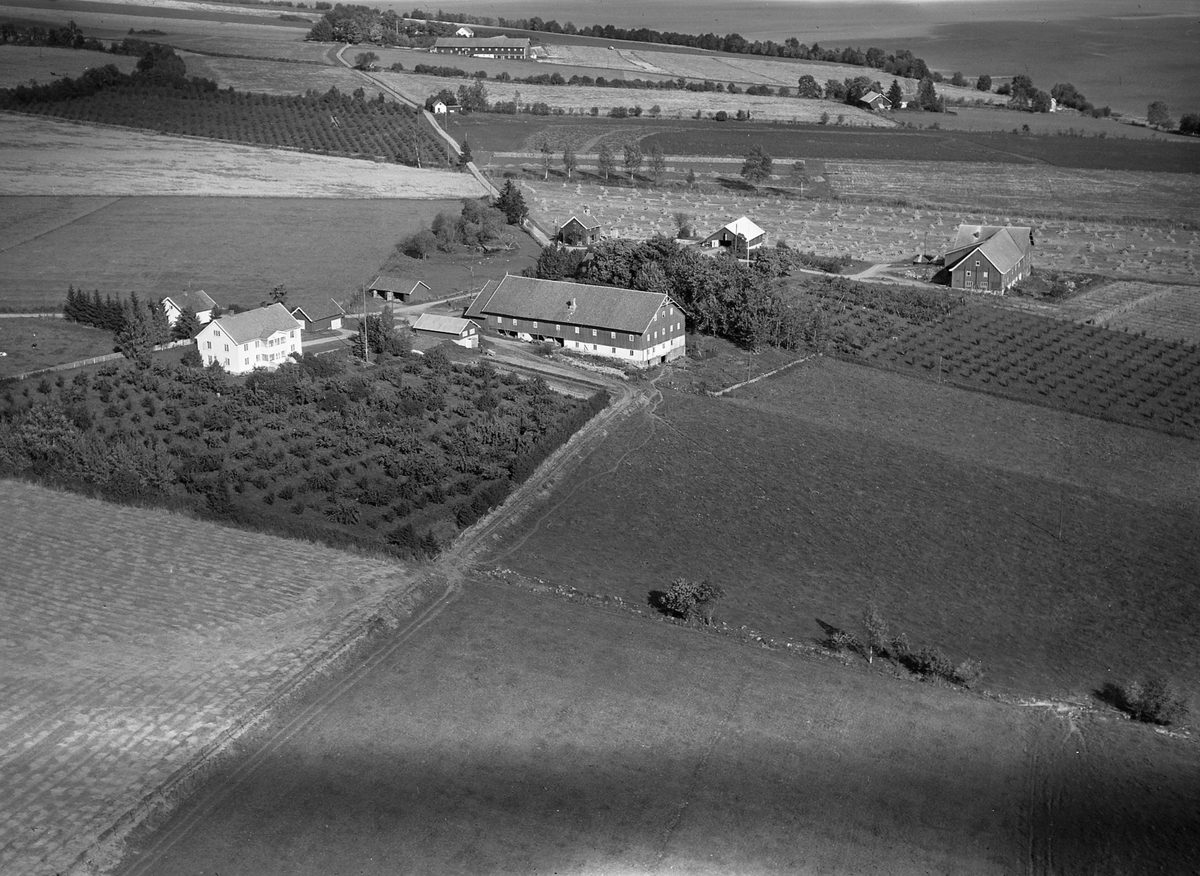 Anno Domkirkeodden, Flyfoto, gardsbruk, hage, Skjelve vestre, Nes, Hedmark.