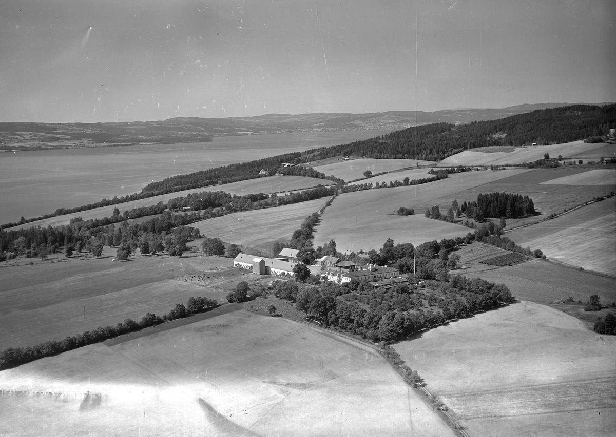 Anno Domkirkeodden, Flyfoto, gardsbruk, Hovinsholm, Helgøya.