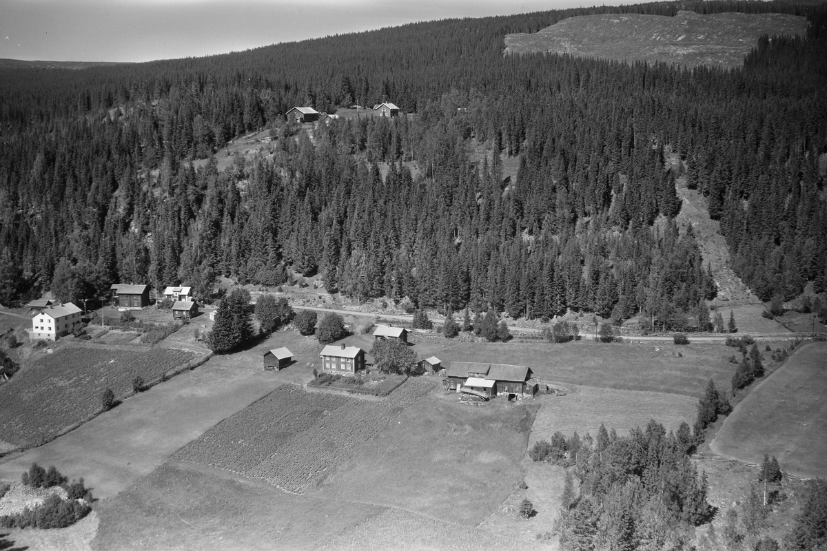 Anno Domkirkeodden, Flyfoto av ukjent gard, Mesnalia, Ringsaker.