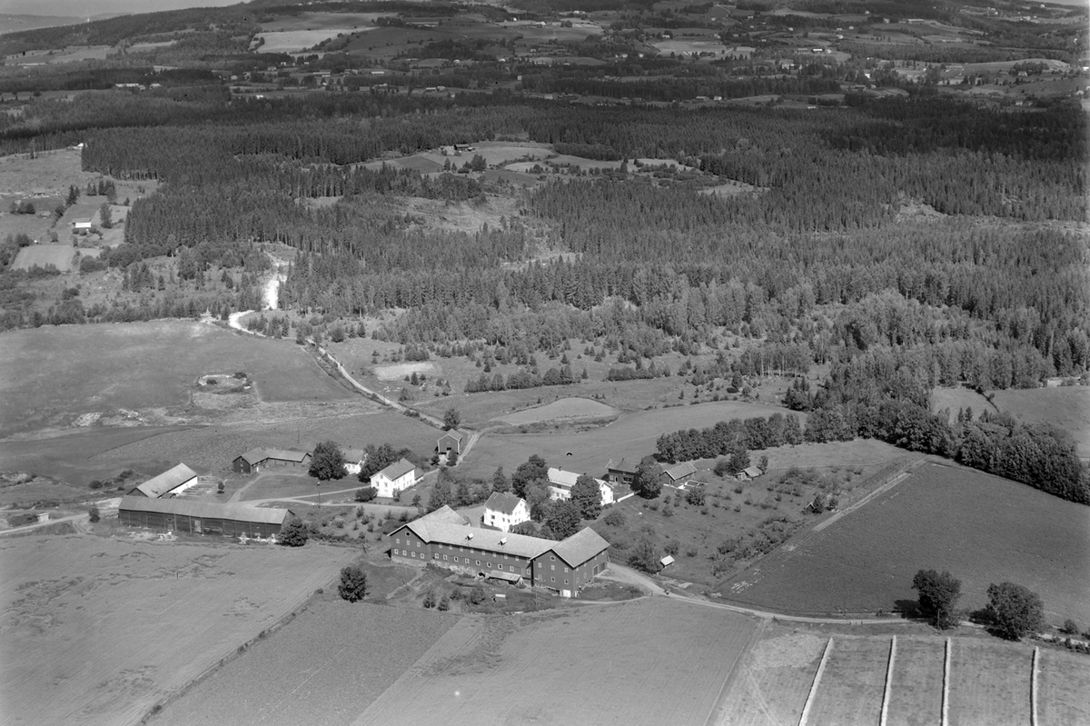Anno Domkirkeodden, Flyfoto av Doglo vestre og Doglo Østre i Furnes, Ringsaker.