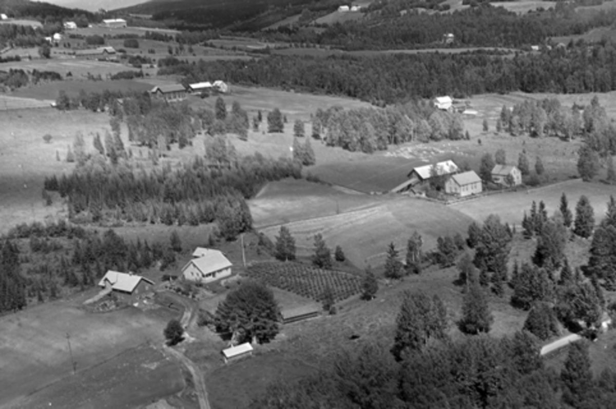 Anno Domkirkeodden, Flyfoto av Vesteng og Østeng gård i Furnesåsen, Ringsaker.