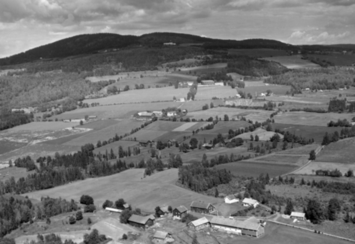 Anno Domkirkeodden, Flyfoto av garder i lia opp mot Høsbjør, Furnes, Ringsaker. Gården nederst i bilde er Hellerud, gården på midten av bilder er Stokset og den ovenfor der er Lier.