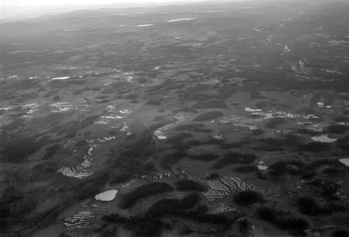 Widerøes Flyveselskap A/S, Flyfoto, Ringsaker og Veldre almenning, Mesna, Ringsaker.