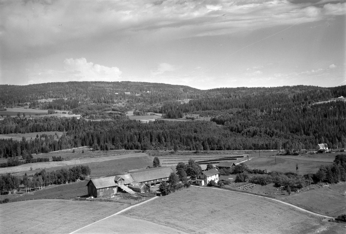Widerøes Flyveselskap A/S, Flyfoto av Engen, Nes, Hedmark.