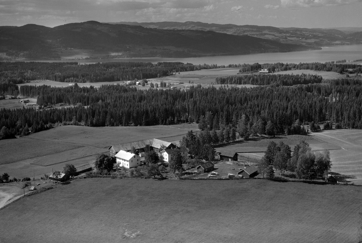 Widerøes Flyveselskap A/S, Flyfoto av Holo nordre, Gaupen, Ringsaker.