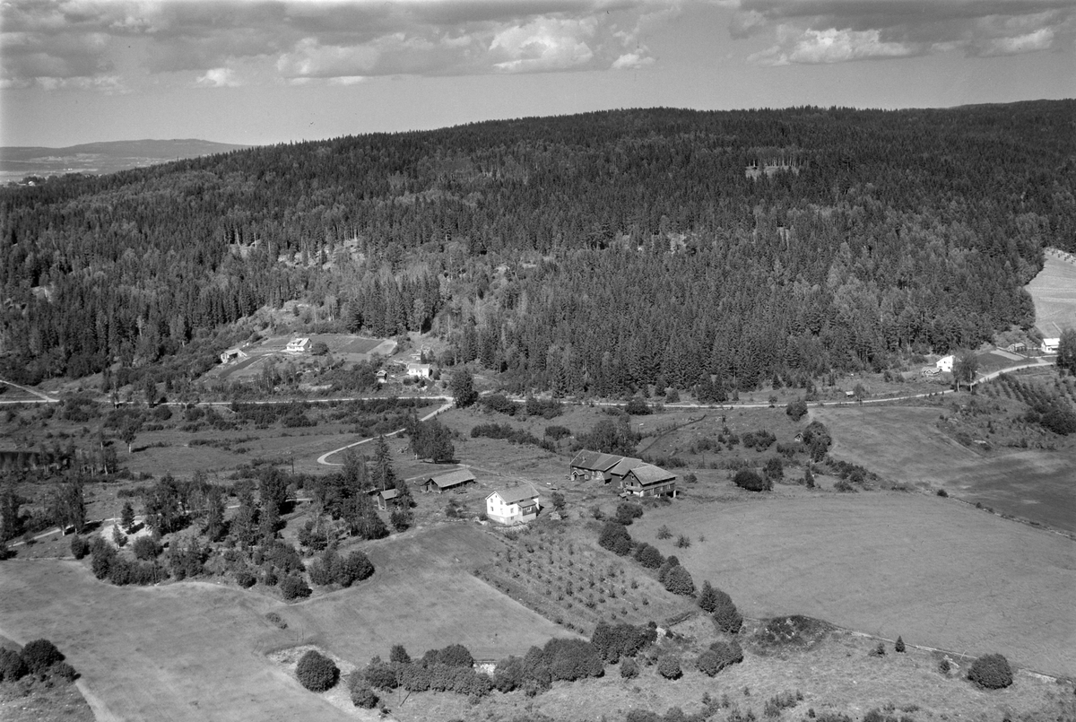 Widerøes Flyveselskap A/S, Flyfoto, gardsbruk, Ihle, Nes, Hedmark.
