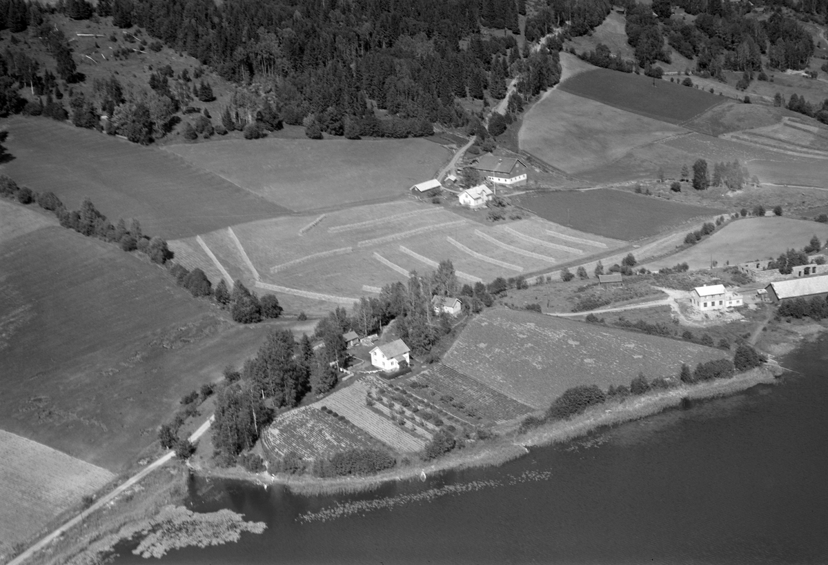 Widerøes Flyveselskap A/S, Flyfoto av Hovelsrud ved Stavsjøen, Hedmark.