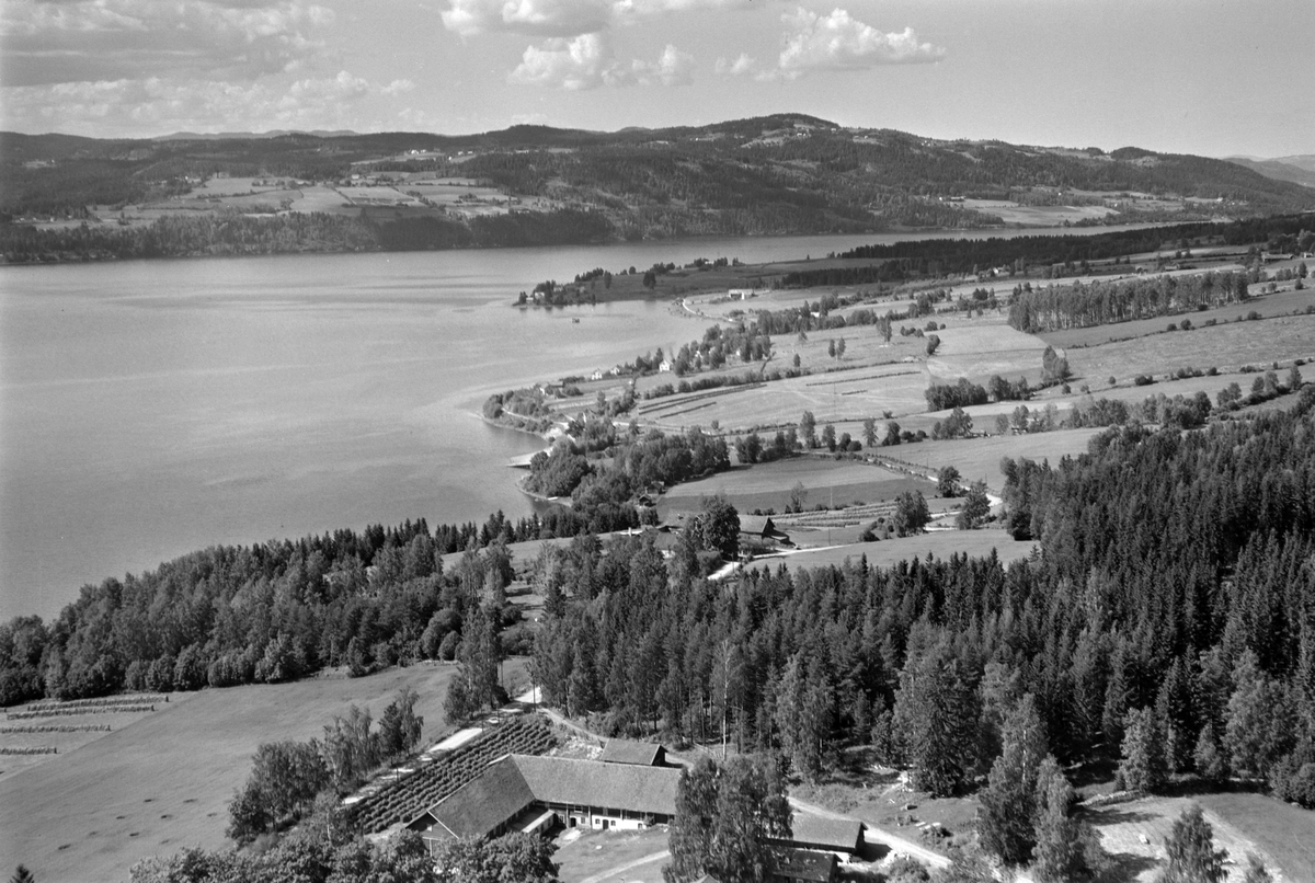 Widerøes Flyveselskap A/S, Flyfoto, gardsbruk, Taskerud, Mengshoel brygge, Mjøsa, Tangnes, Nes, Hedmark.