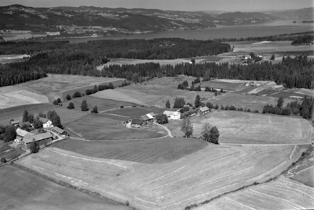 Widerøes Flyveselskap A/S, Flyfoto av Haugom gard, til venstre er Haugom nordre, Gaupen, Ringsaker.