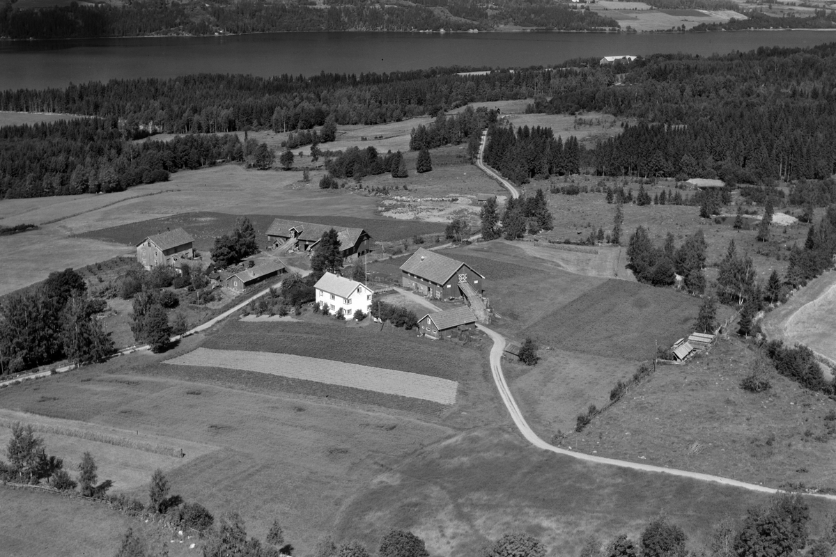 Widerøes Flyveselskap A/S, Flyfoto av Breistu og Haug gard, Nes, Ringsaker.
