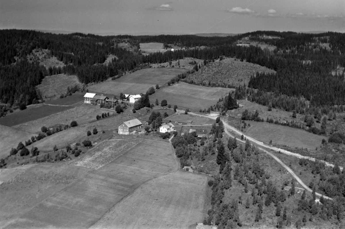 Widerøes Flyveselskap A/S, Flyfoto av Amli garder, øvre og nedre, Ringsaker.