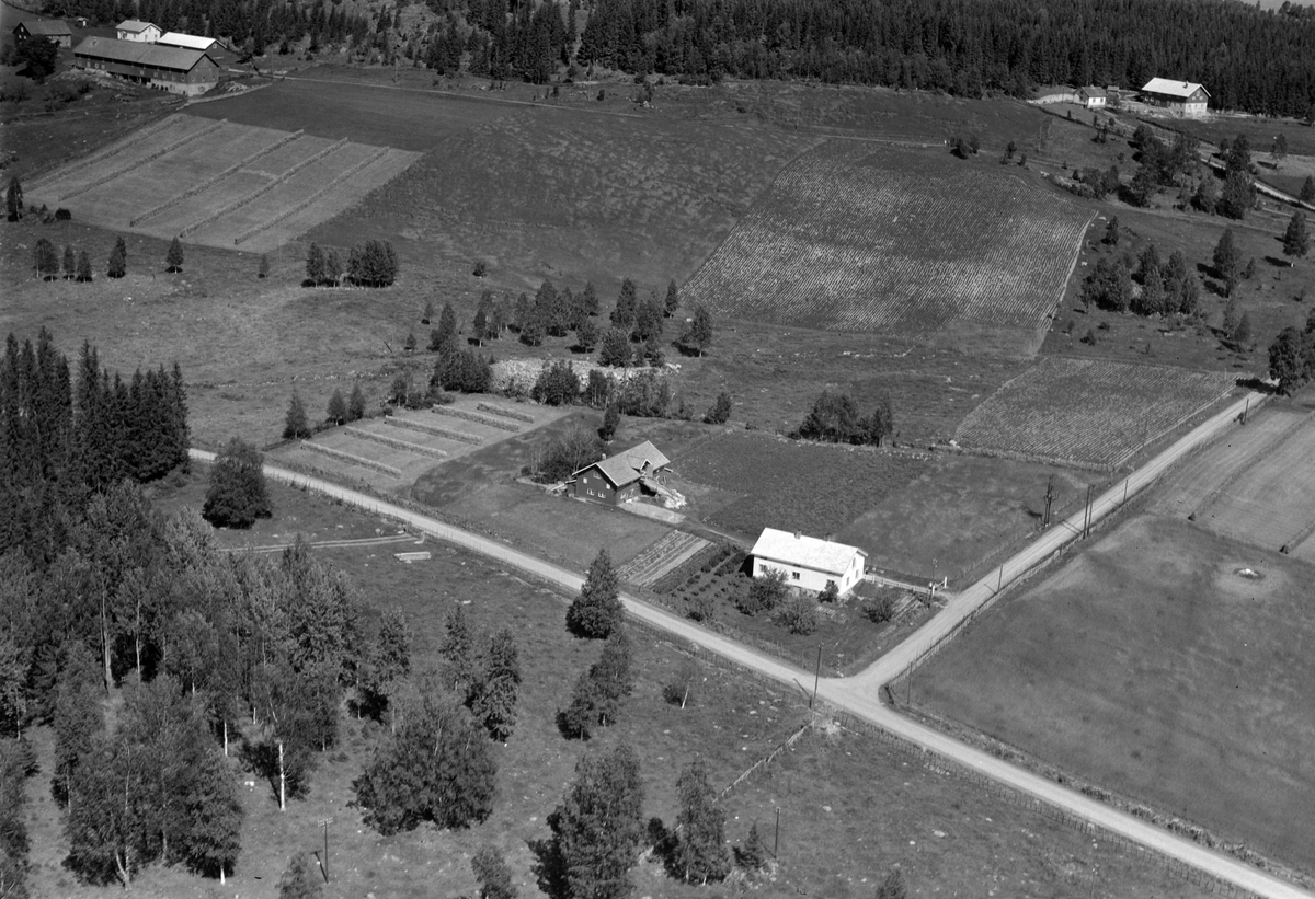 Widerøes Flyveselskap A/S, Flyfoto, Åsmarka. Åsen Øvre oppe i venstre hjørne og Skredderstuen oppe i høyre hjørne. Nedre Busmundrud er sentralt i bilde.