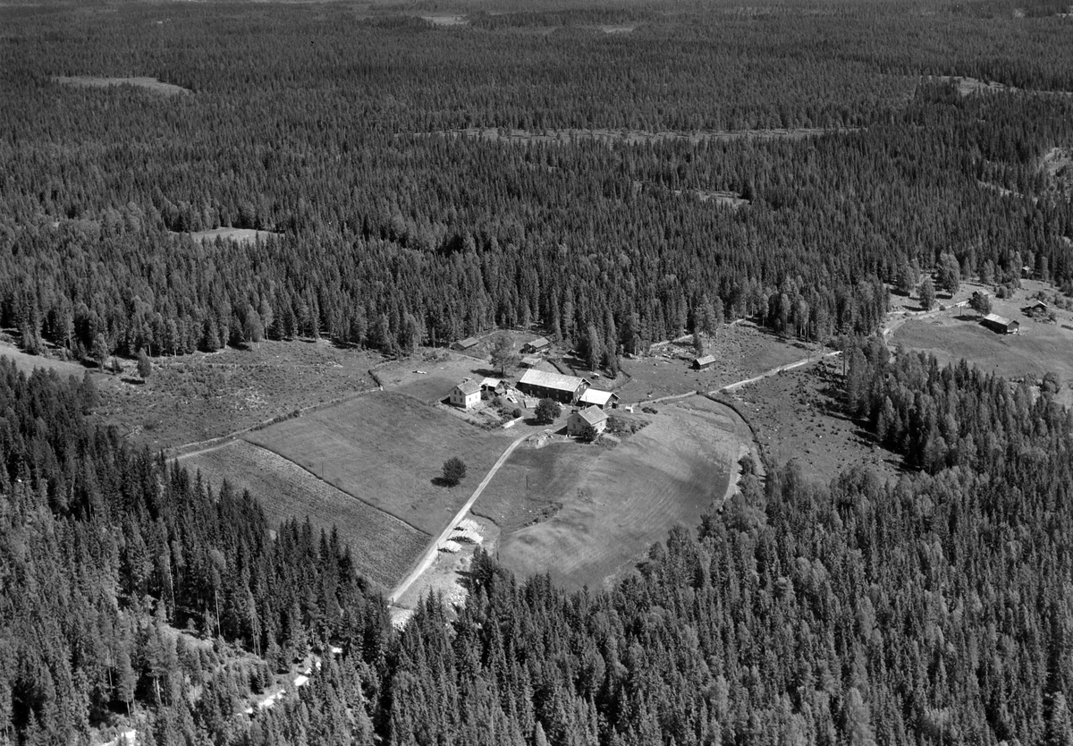 Widerøes Flyveselskap A/S, Flyfoto av Jægersborg, Næroset, Ringsaker.