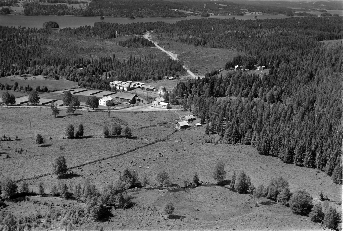 Widerøes Flyveselskap A/S, Flyfoto av Arneberg, Næroset, Ringsaker. Sagbruk, landhandel.