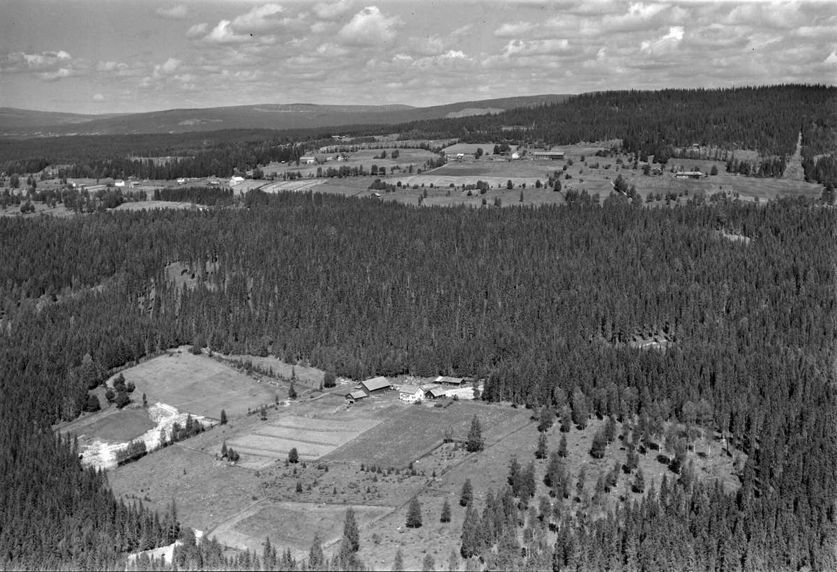 Widerøes Flyveselskap A/S, Flyfoto av Bråtåsveen, Åsmarka, Ringsaker, skoglandskap.