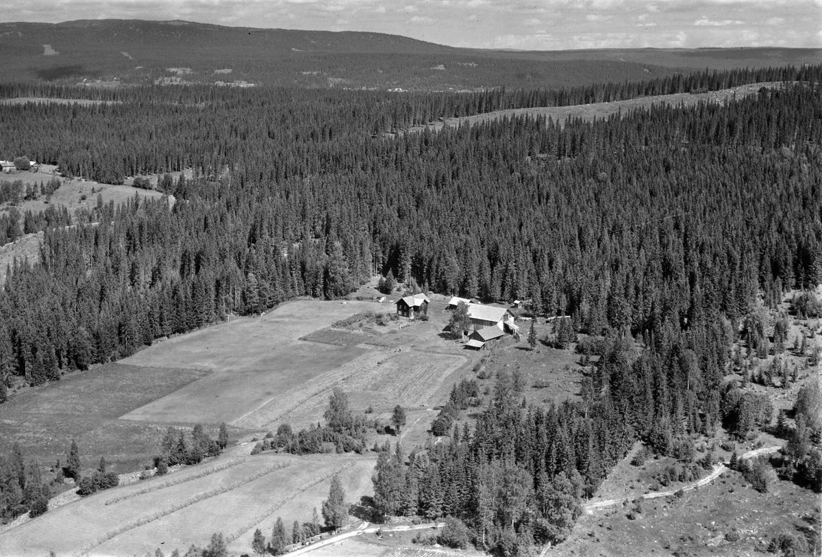 Widerøes Flyveselskap A/S, Flyfoto av Tørtophagen (Hagen), skoglandskap, Åsmarka, Ringsaker.