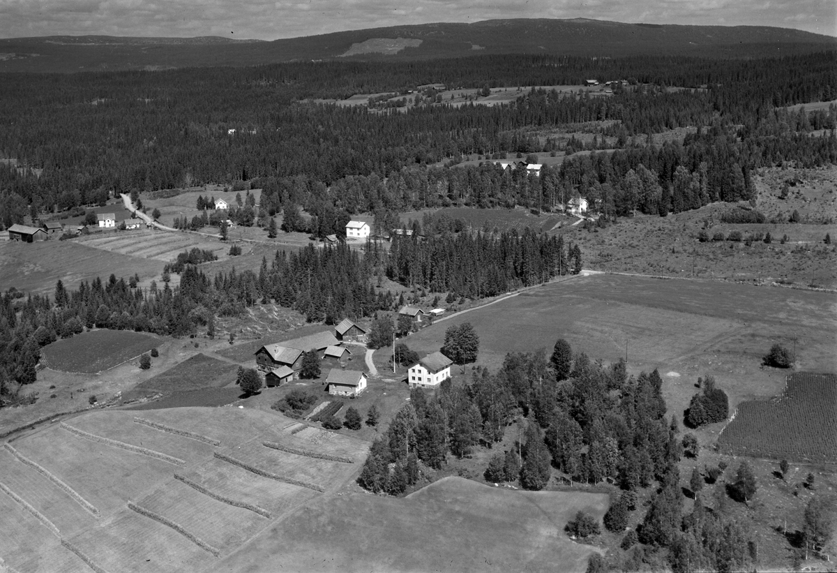 Widerøes Flyveselskap A/S, Flyfoto av Bjørkelia, Åsmarka, Ringsaker.