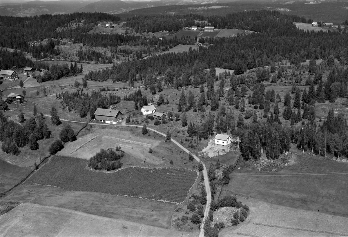 Widerøes Flyveselskap A/S, Flyfoto av ukjente garder, Brøttum, Ringsaker.