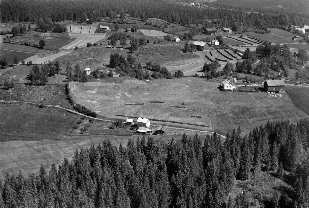 Widerøes Flyveselskap A/S, Flyfoto av ukjent gardsbruk, Ringsaker.