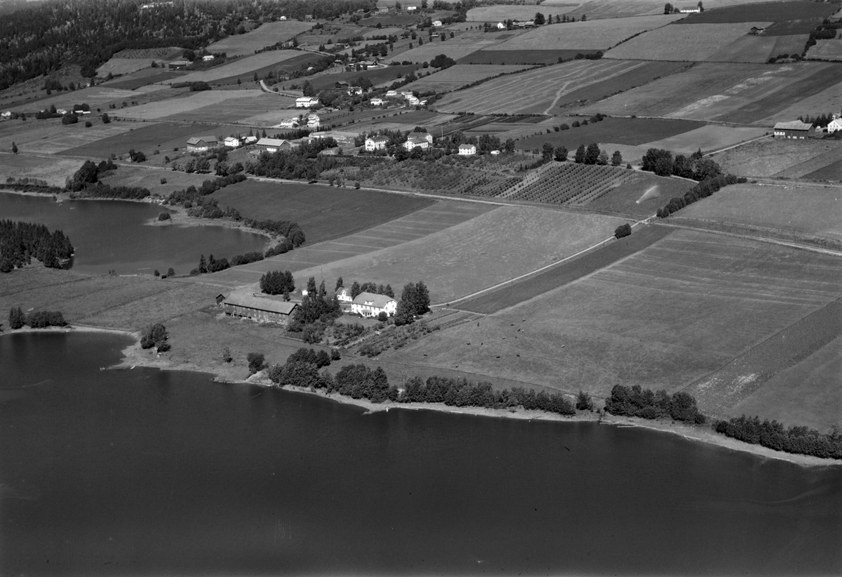 Widerøes Flyveselskap A/S, Flyfoto av Vea nedre, Moelv, Ringnes.