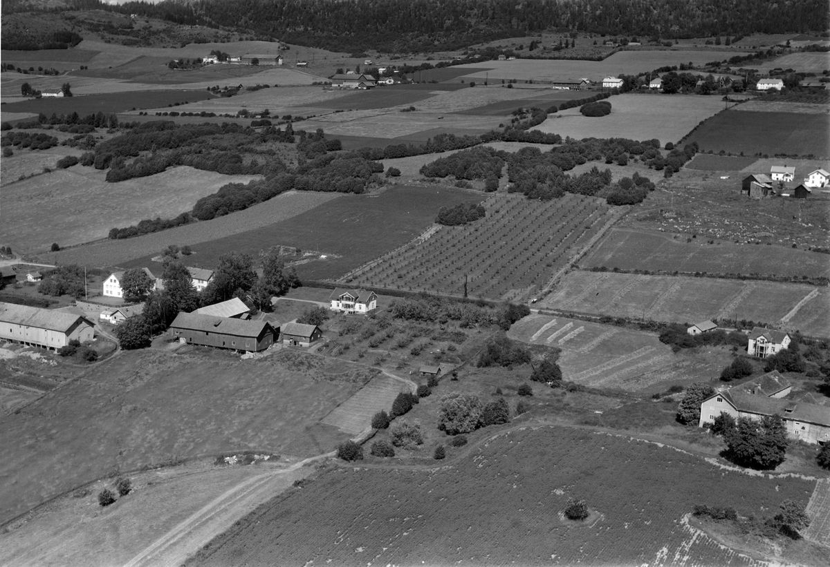 Widerøes Flyveselskap A/S, Flyfoto av Fjølstad og Kroksgard, Ring, Ringsaker.