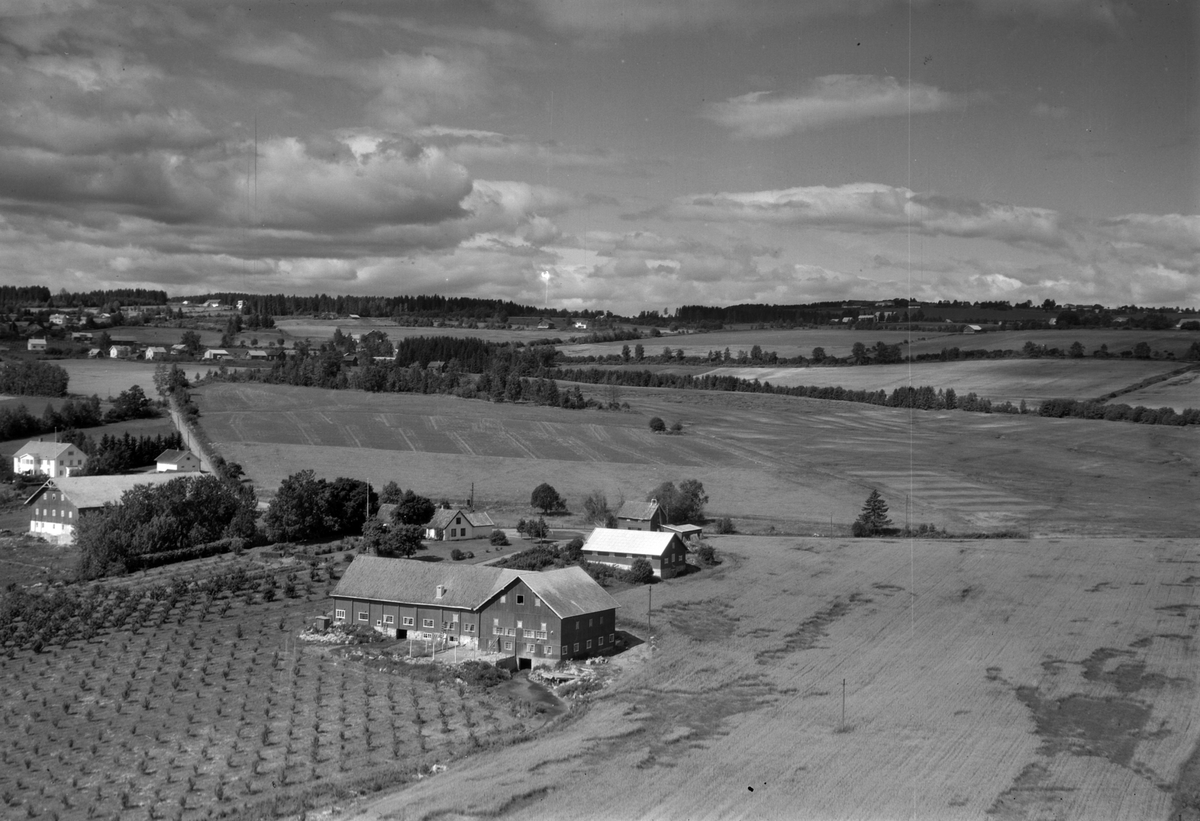 Widerøes Flyveselskap A/S, Flyfoto, gardsbruk, frukttrær, Skjelve østre, Nes, Hedmark.