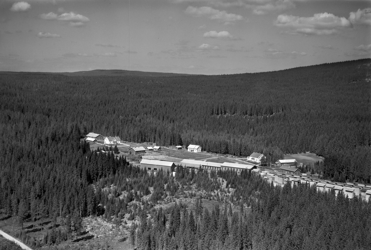Widerøes Flyveselskap A/S, Flyfoto, skog, Kvilheim, Nybygda, Furnes Almenning.