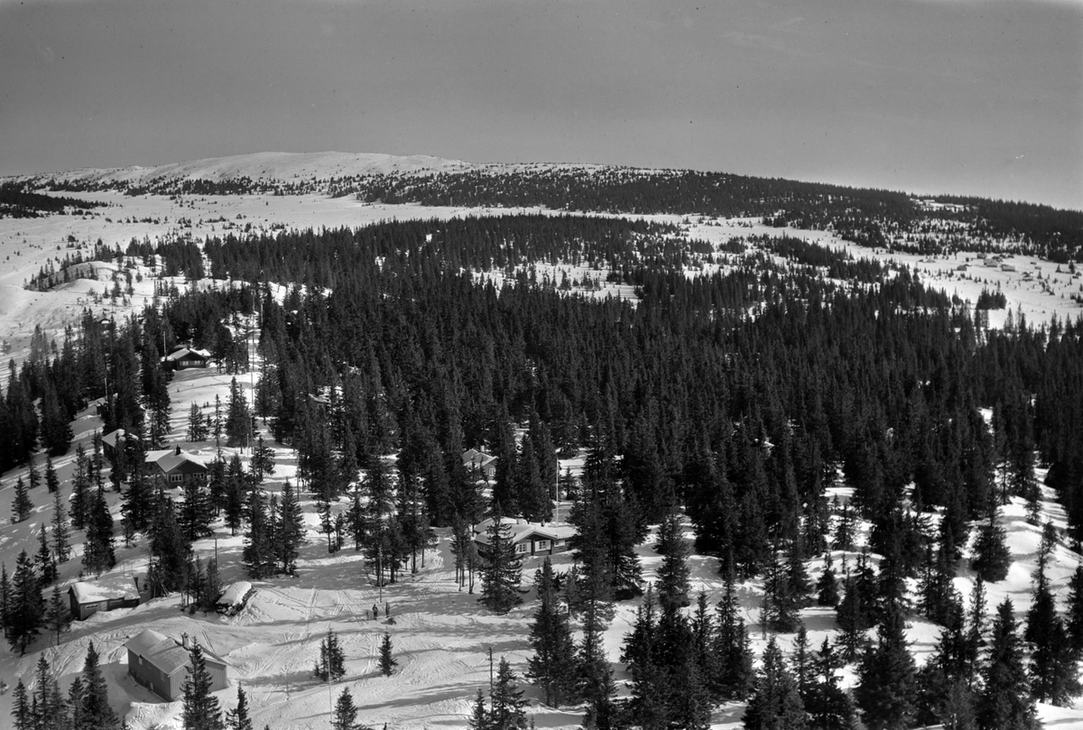 Widerøes Flyveselskap A/S, Flyfoto av bebyggelse i vinterlandskap på Sjusjøen, Ringsaker Almenning.