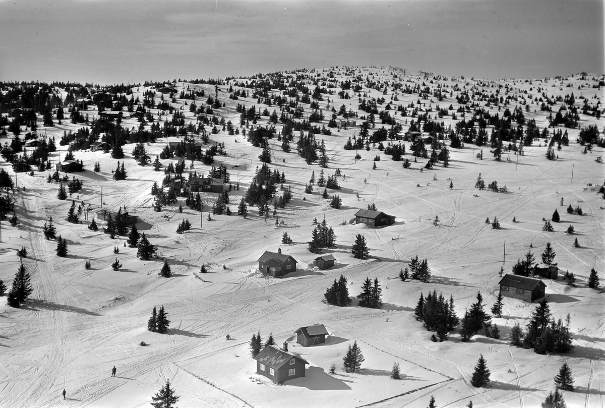 Widerøes Flyveselskap A/S, Flyfoto av bebyggelse i vinterlandskap på Sjusjøen, Ringsaker Almenning.