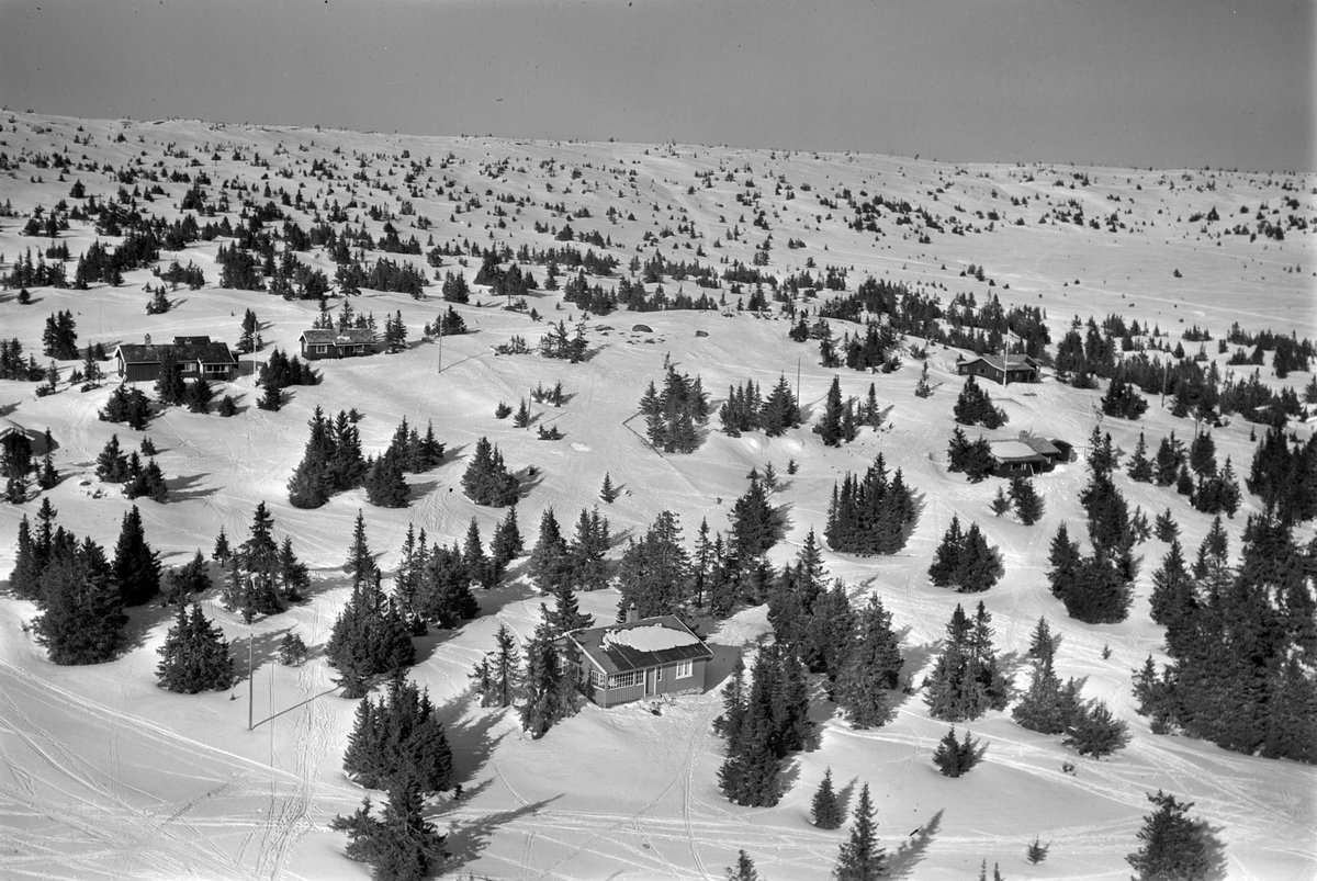 Widerøes Flyveselskap A/S, Flyfoto av bebyggelse i vinterlandskap på Sjusjøen, Ringsaker Almenning.