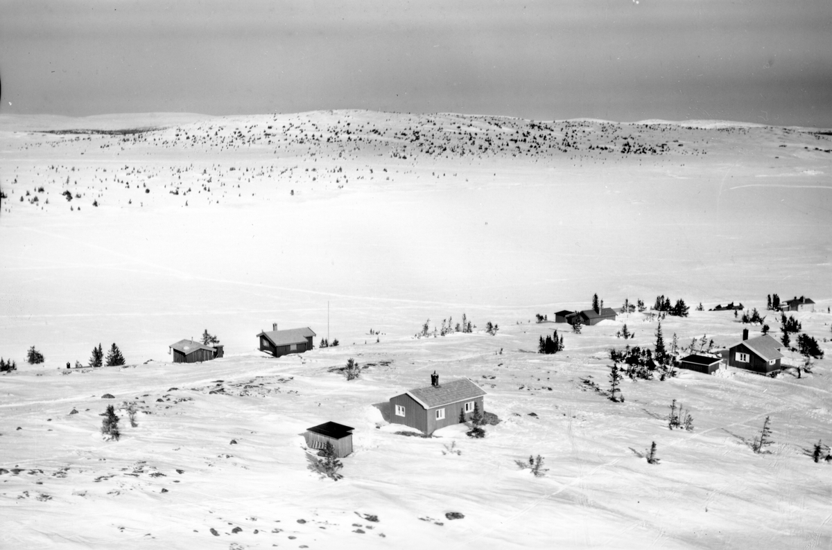 Widerøes Flyveselskap A/S, Flyfoto av bebyggelse i vinterlandskap på Sjusjøen, Ringsaker Almenning.