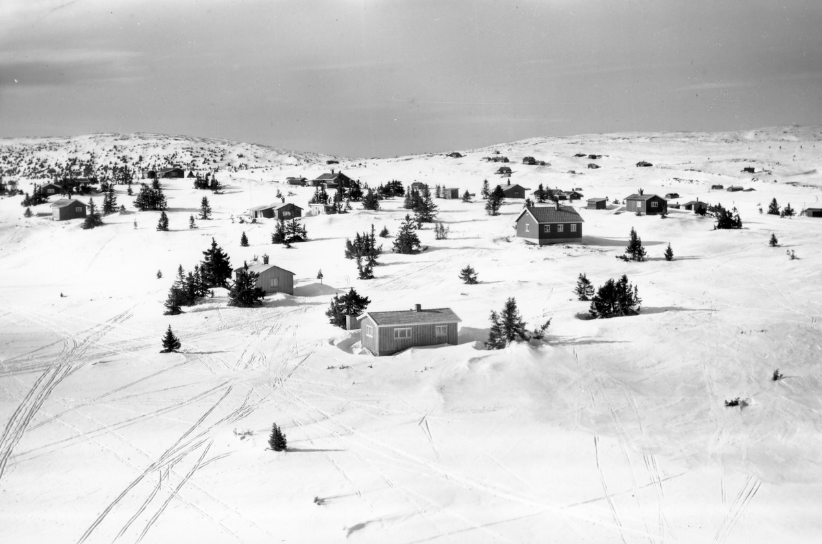 Widerøes Flyveselskap A/S, Flyfoto av bebyggelse i vinterlandskap på Sjusjøen, Ringsaker Almenning.