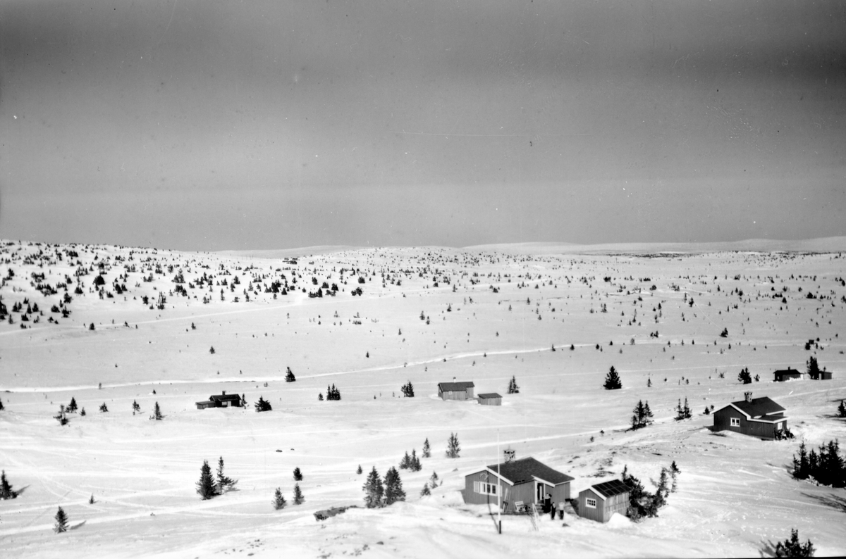 Widerøes Flyveselskap A/S, Flyfoto av bebyggelse i vinterlandskap på Sjusjøen, Ringsaker Almenning.