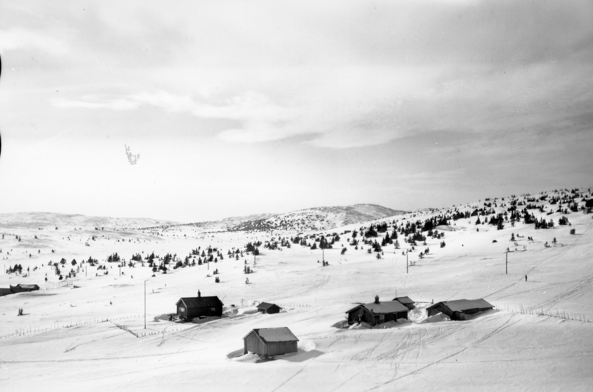 Widerøes Flyveselskap A/S, Flyfoto av bebyggelse i vinterlandskap på Sjusjøen, Ringsaker Almenning.