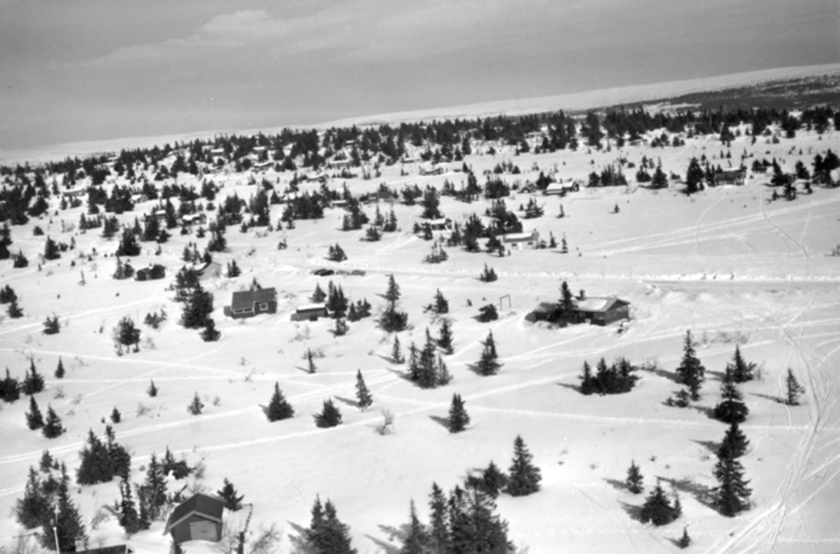 Widerøes Flyveselskap A/S, Flyfoto av bebyggelse i vinterlandskap på Ljøsheim, Ringsaker Almenning.
