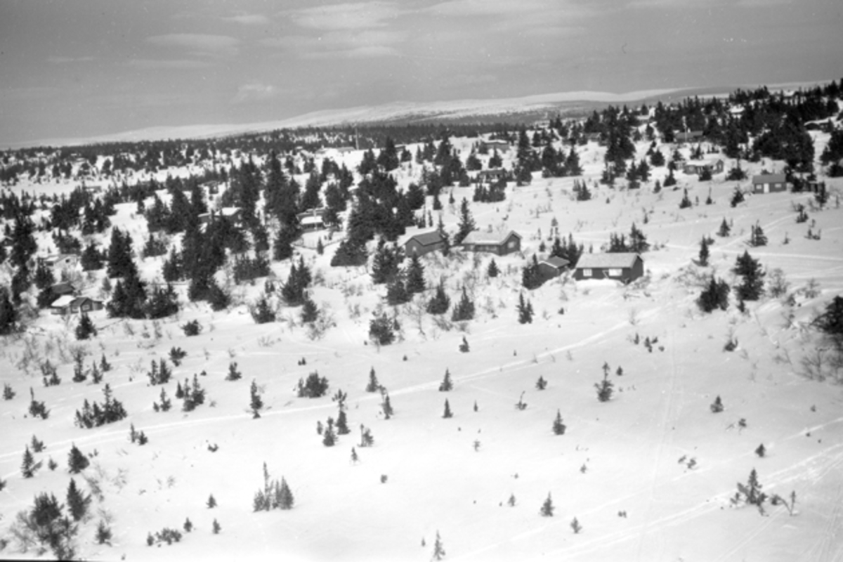 Widerøes Flyveselskap A/S, Flyfoto av bebyggelse i vinterlandskap på Ljøsheim, Ringsaker Almenning.