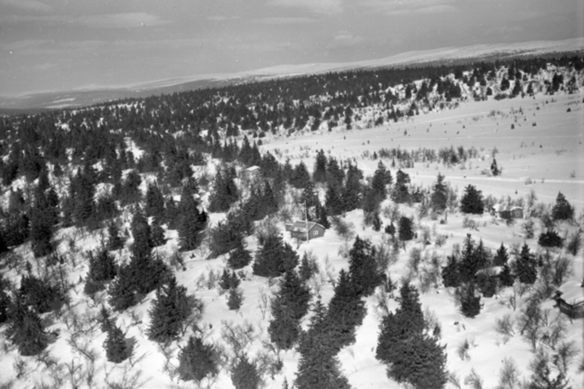 Widerøes Flyveselskap A/S, Flyfoto av bebyggelse i vinterlandskap på Ljøsheim, Ringsaker Almenning.