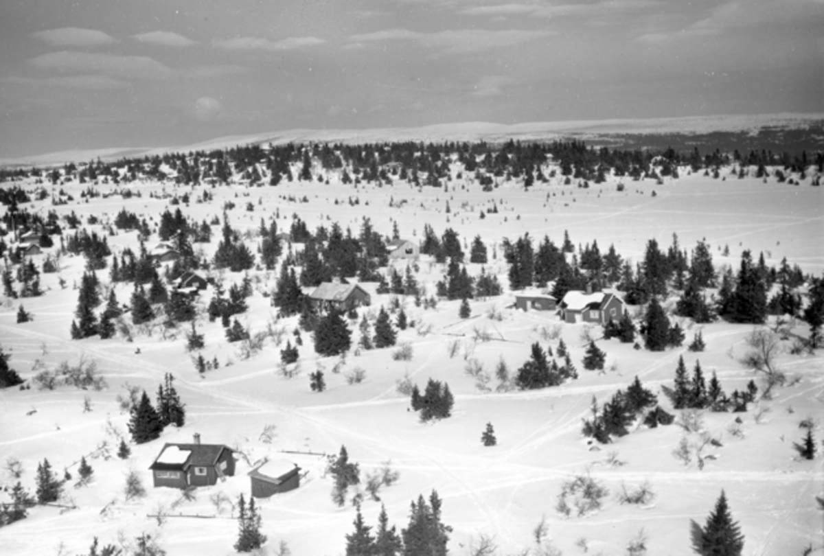 Widerøes Flyveselskap A/S, Flyfoto av bebyggelse i vinterlandskap på Ljøsheim, Ringsaker Almenning.