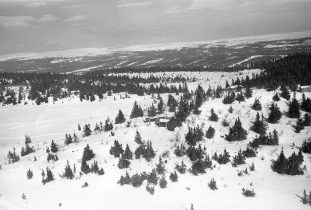 Widerøes Flyveselskap A/S, Flyfoto av bebyggelse i vinterlandskap på Ljøsheim, Ringsaker Almenning.