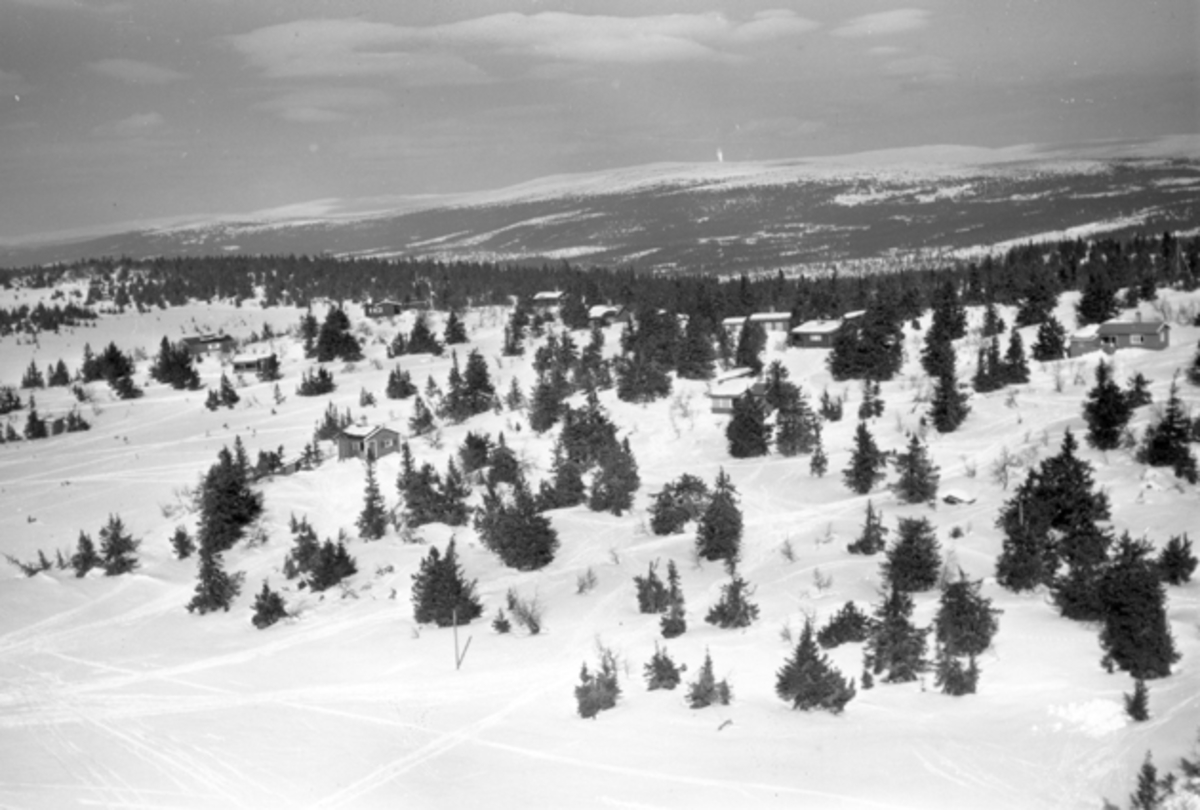 Widerøes Flyveselskap A/S, Flyfoto av bebyggelse i vinterlandskap på Ljøsheim, Ringsaker Almenning.