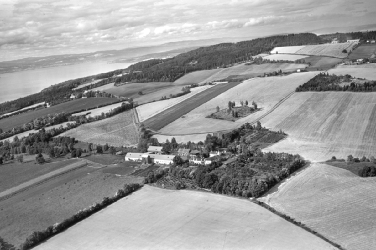 Widerøes Flyveselskap A/S, Flyfoto, gardsbruk, Hovinsholm, Helgøya.